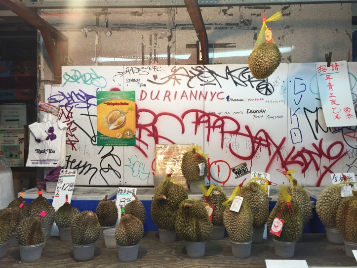 photo-nov-18-4-18-25-pm