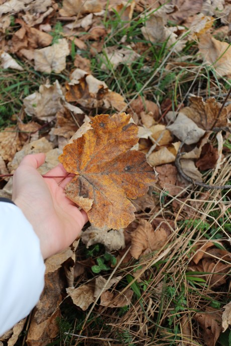 albergo-delle-case-1