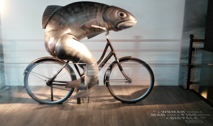 guinness-store-house-10