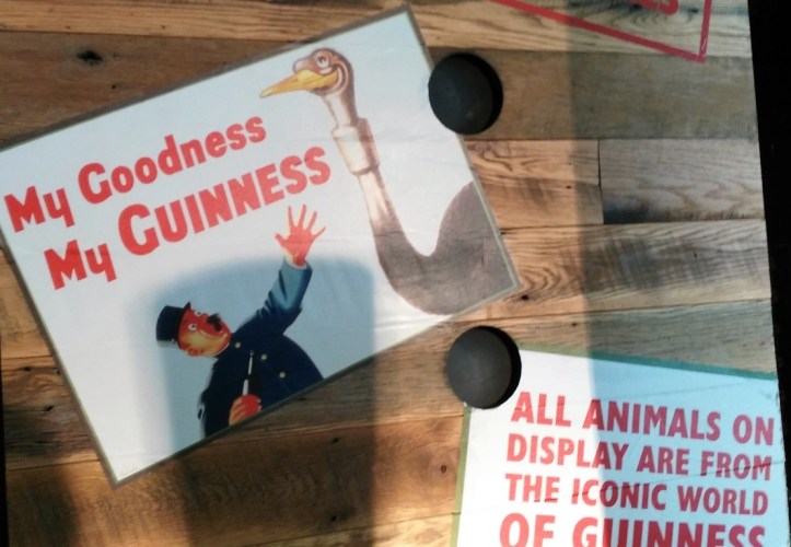 guinness-store-house-5