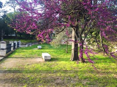 17424960_10154769275237795_2571722855889523036_n