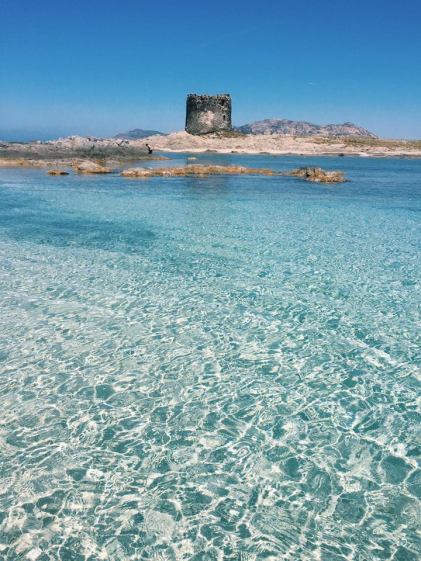 17426089_10154769282242795_1608300213766890557_n