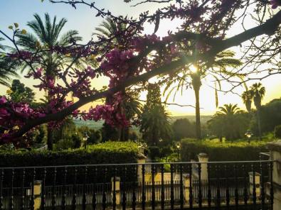 17457349_10154769275227795_1267277284550518537_n