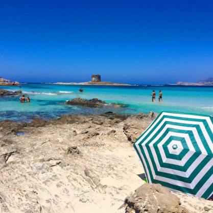 17458153_10154769275217795_510313274179885103_n